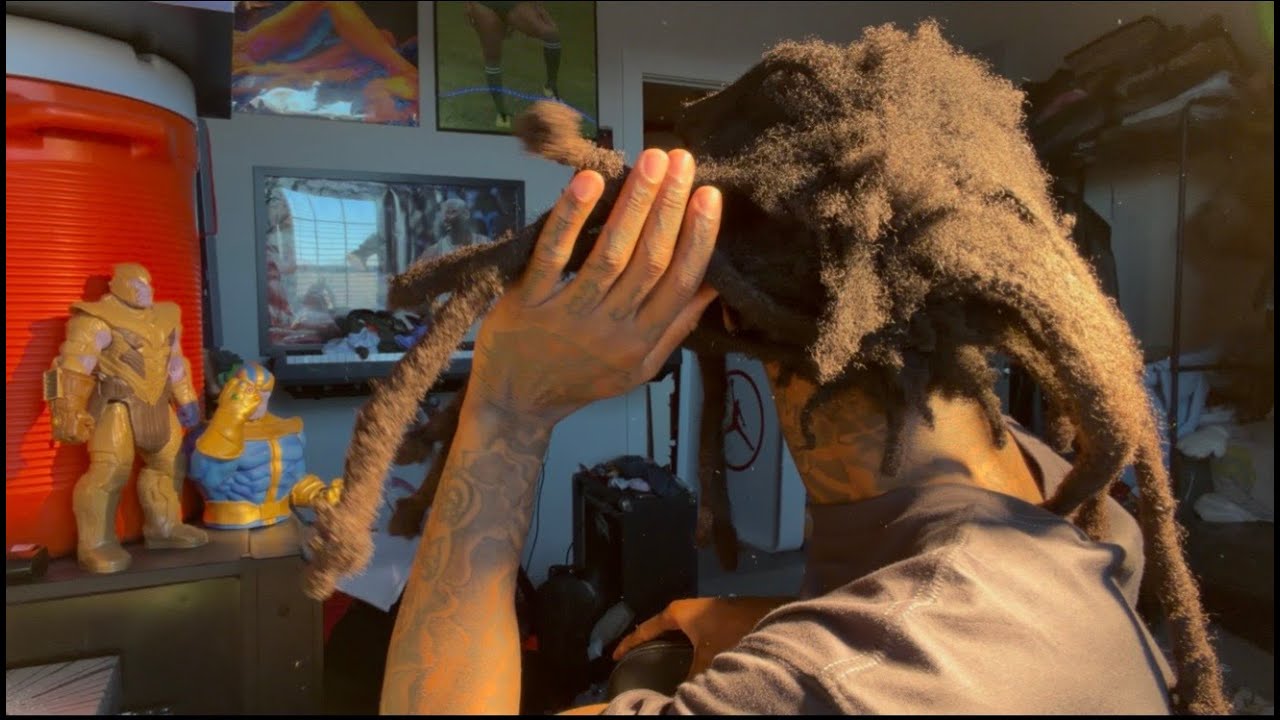FREEFORM LOCS : 2026 LOC UPDATE , Feeling Lonely , nature , getting back into my routine .