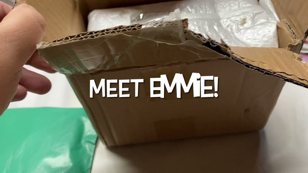 BJD BOX OPENING | STO EGGY DOLL 2021 #boxopening #bjd #bjdboxopening #stodoll