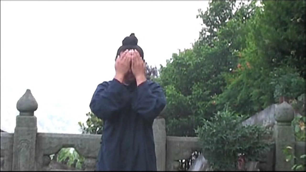 Wudang Qi Gong Workout with Master Chen Shiyu