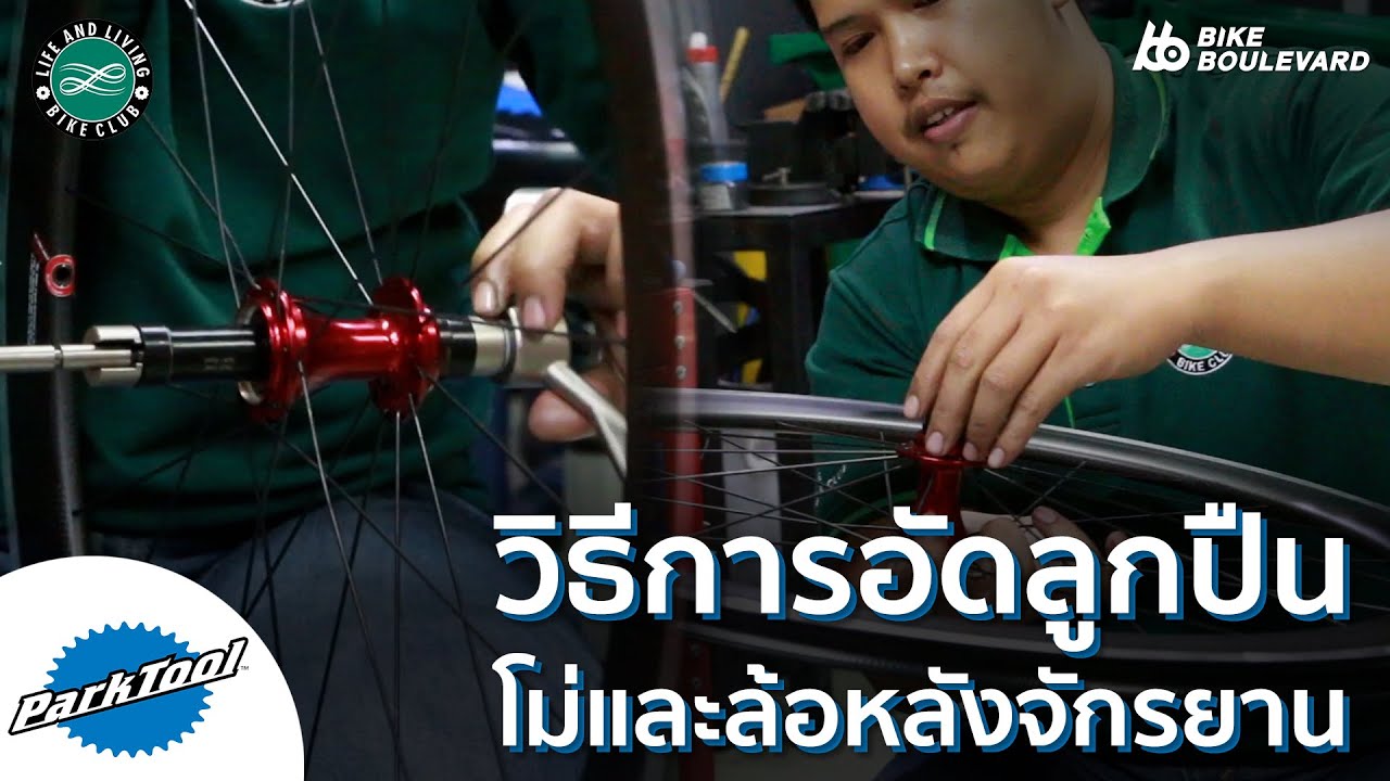 วิธี อัดลูกปืนโม่จักรยานเสือหมอบ โดยช่างกันต์ Life and Living BikeClub ชลบุรี