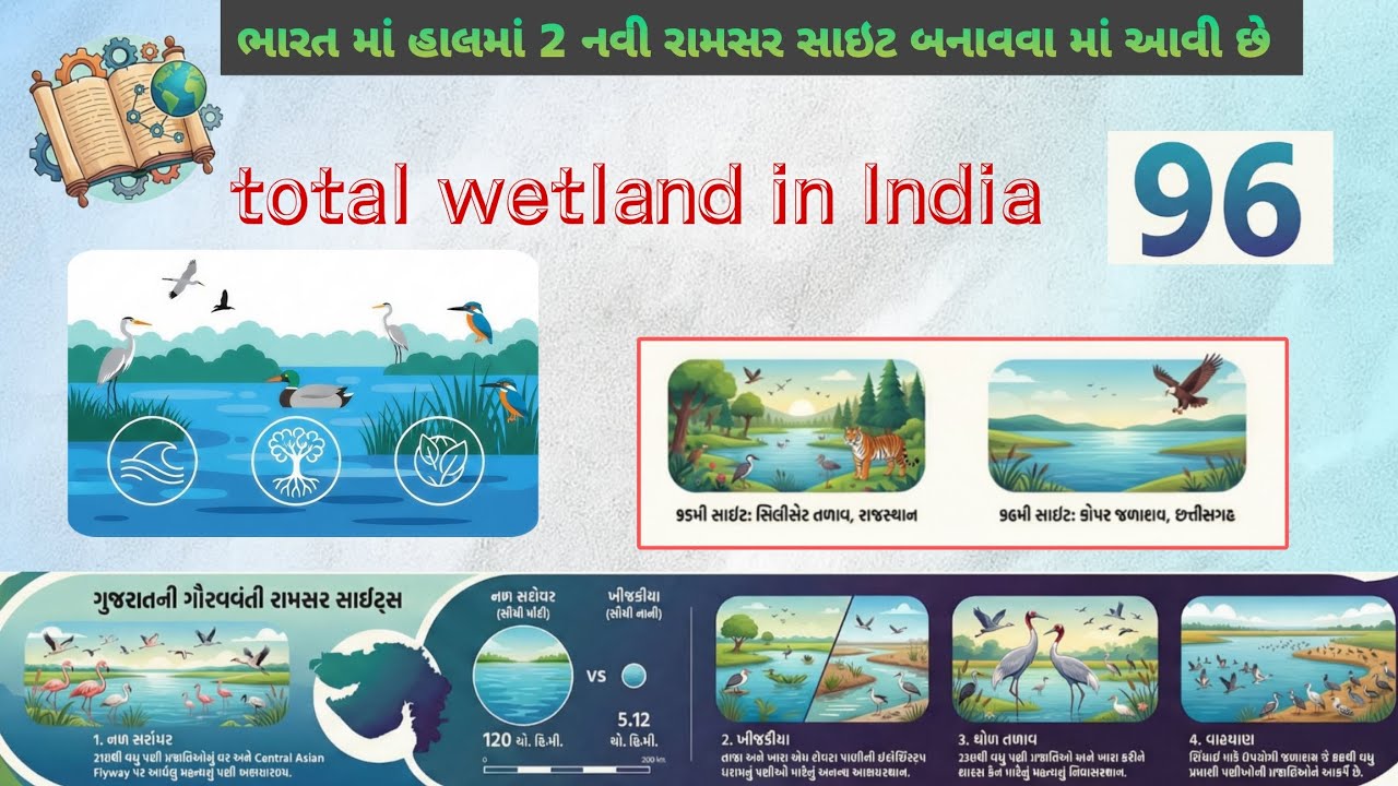 “રામસર સાઇટ શું છે? ભારતમાં 96 સાઇટ – ગુજરાતની 4 રામસર વેટલેન્ડ્સની પૂર્ણ માહિતી”  