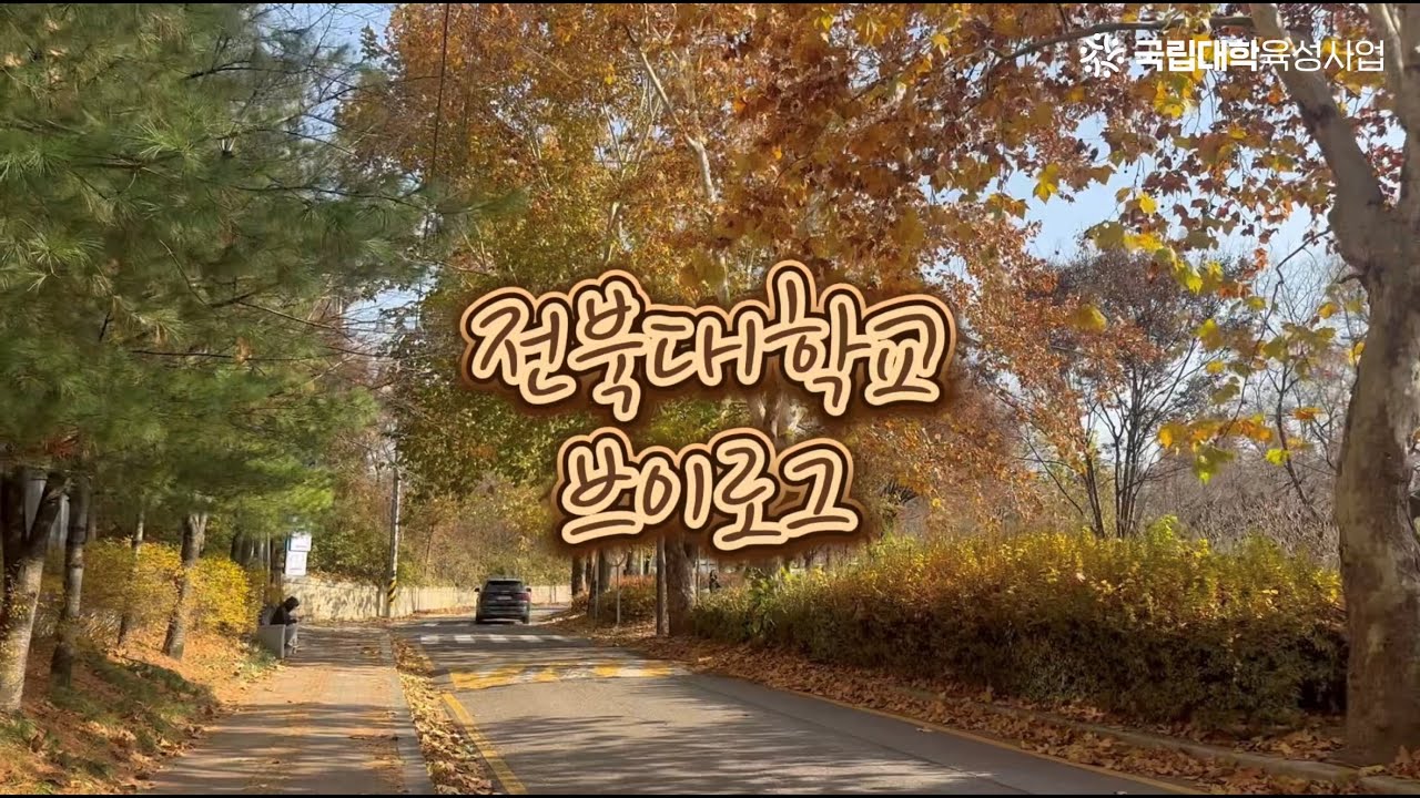 검색해도 절대 안 나옴! 🤫 전북대 재학생이 작정하고 보여주는 