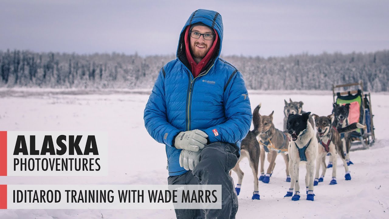 Iditarod Training with Stump Jumpin Kennel (Wade Marrs)