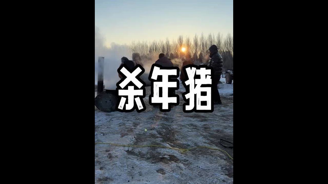 又到了村里吃年猪的时候，带朋友们看看有多热闹！ #又到了村里吃年猪的时候 #抖音新农人 #新农人计划2026 #杀年猪了 #邻里之间