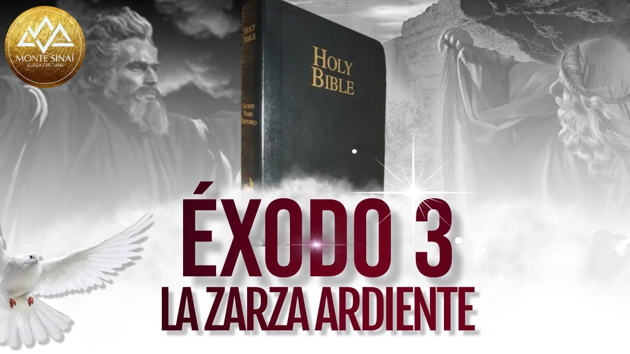 EXPLICACIÓN ÉXODO 3 // LA ZARZA ARDIENTE #biblia