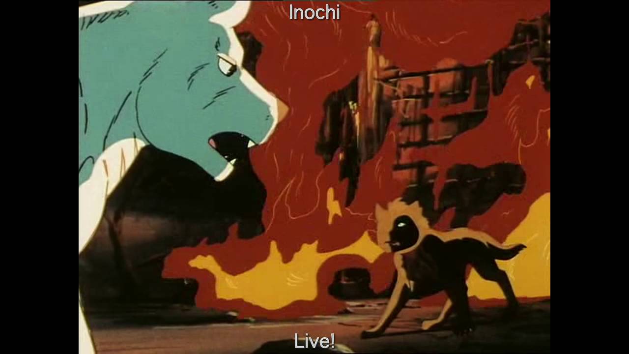 Fire! (English SUBS + TRANS)