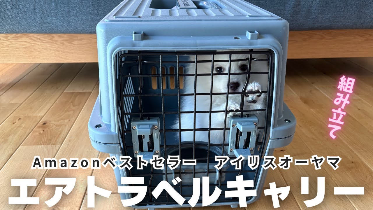 【Amazonベストセラー】アイリスオーヤマ　エアトラベルキャリーS　ダークグレー組み立て＆レビュー