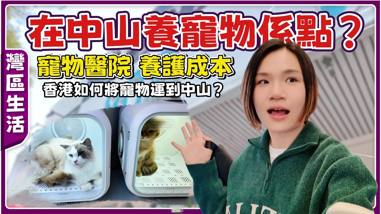 中山地產經紀生活分享丨帶博愛里業主辦理居住證丨帶貓貓沖涼丨Jessica分享間性價比高嘅寵物會所丨在中山寵物意外受傷點算？【cc中文字幕】