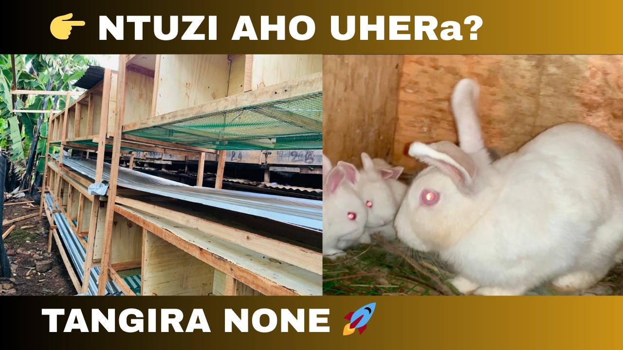 Ufite Igitekerezo Cy’Umushinga Ariko Ntutazi Aho Uhera?