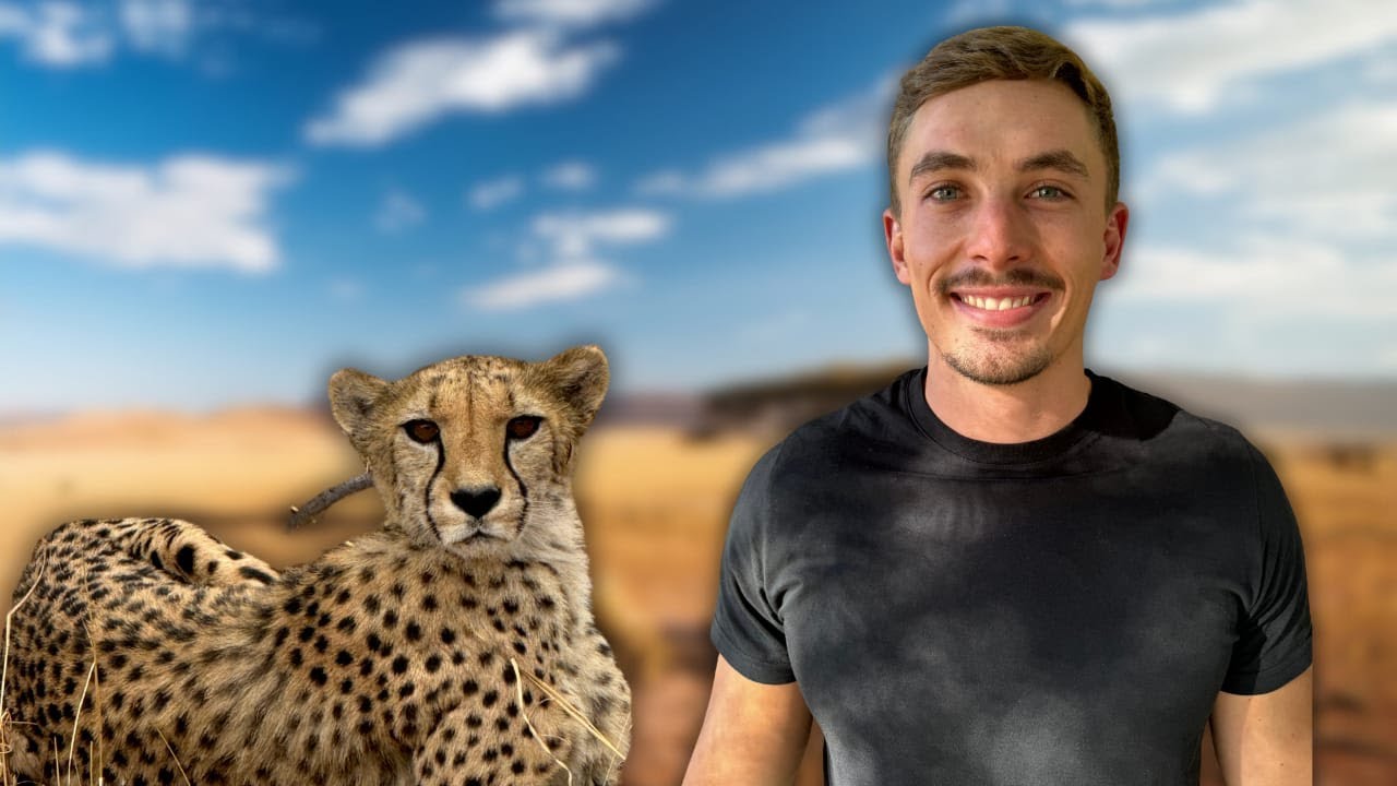 Save the cheetah, change the world