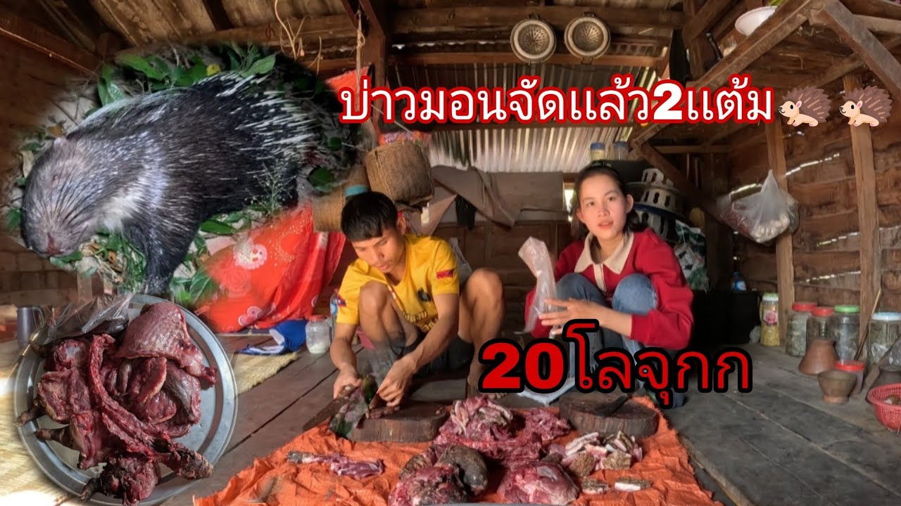 ในที่สุดก็หมานบ่าวมอนบักหลังหนาม20กิโล2เเต้ม🦔🦔9 มกราคม ค.ศ. 2026