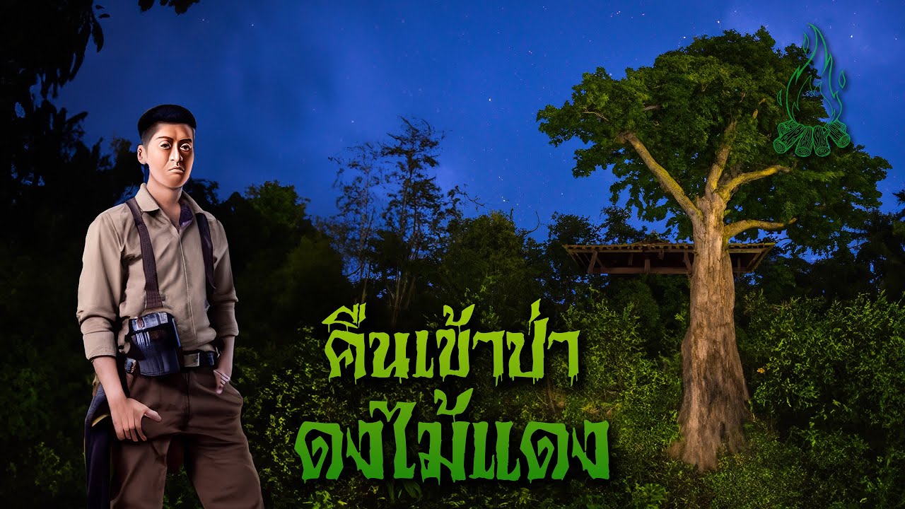 คืนเข้าป่าดงไม้แดง l กองไฟ คลาสสิก