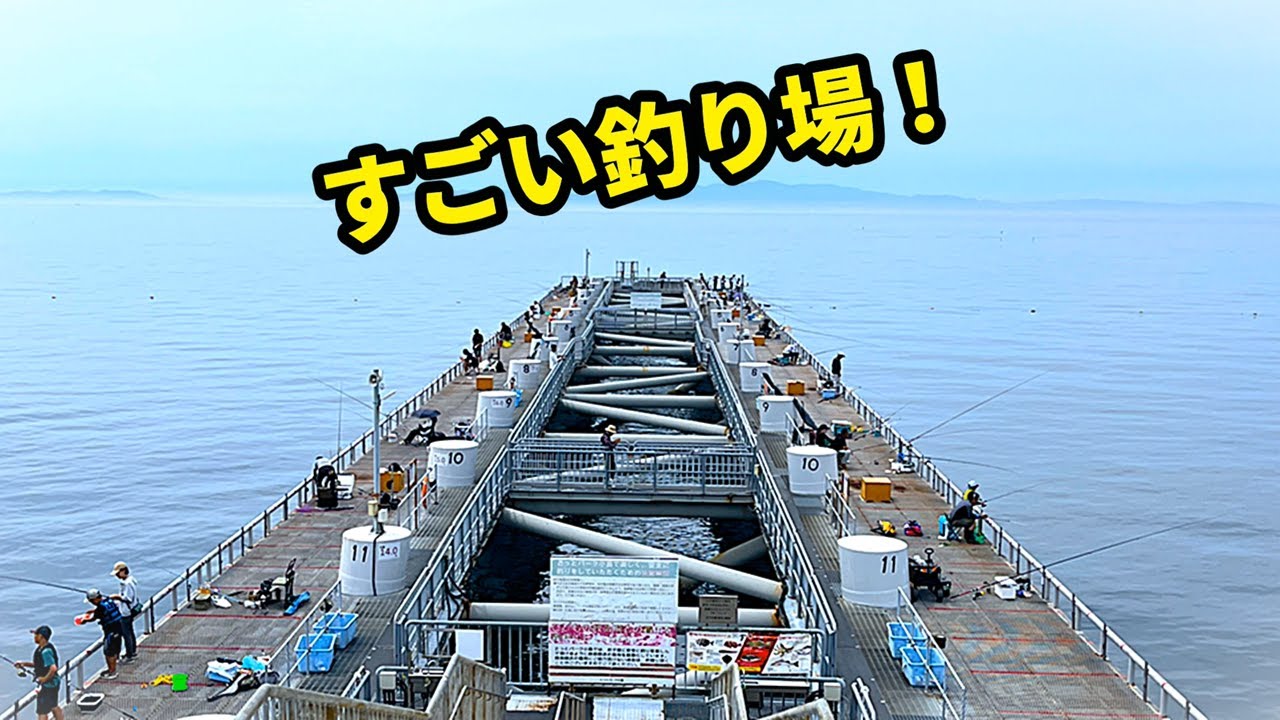 大阪の釣り場でシマアジや真鯛？海釣り公園とっとパーク最新情報！