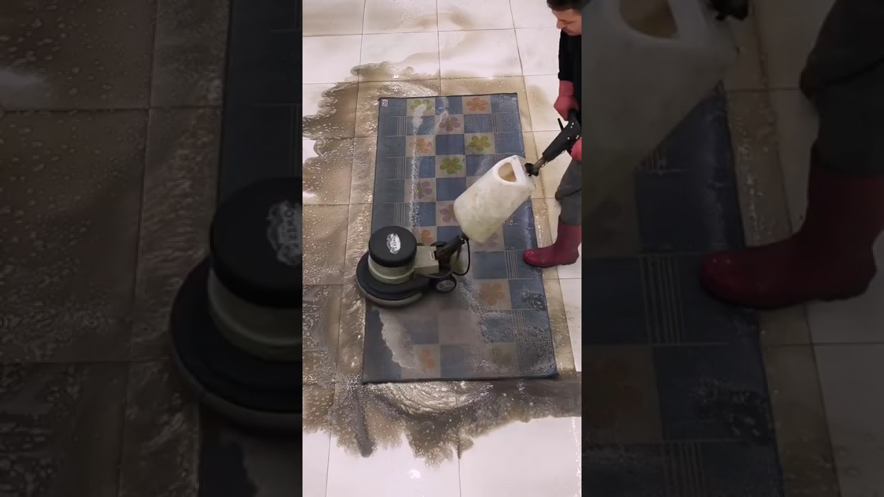 Stress-Free Carpet Cleaning Immersion
