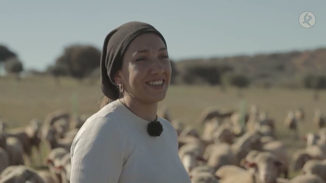 200 ovejas son la nueva generación de la ganadería de Chabeli | El campo es vida