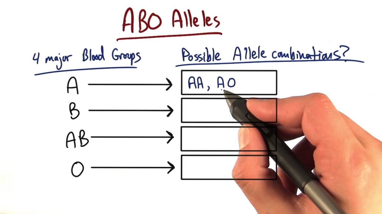 Two Alleles - Tales from the Genome