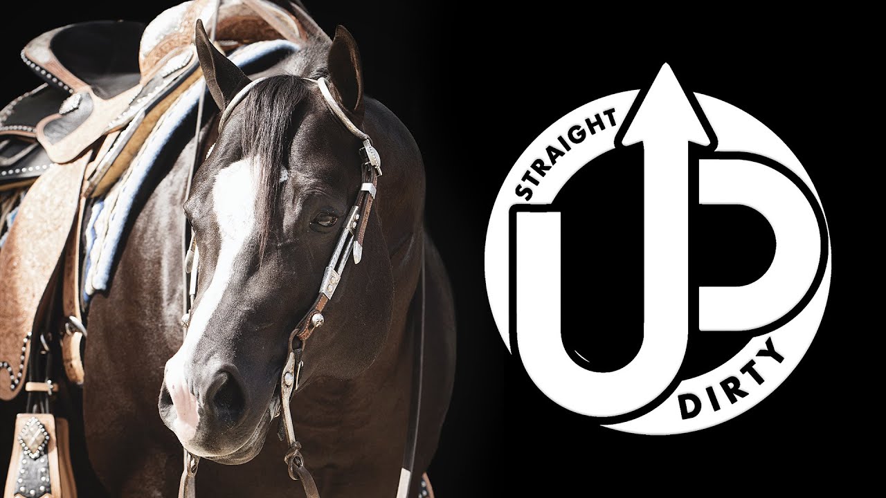 STRAIGHT UP DIRTY - 2020 AQHA Black Stallion