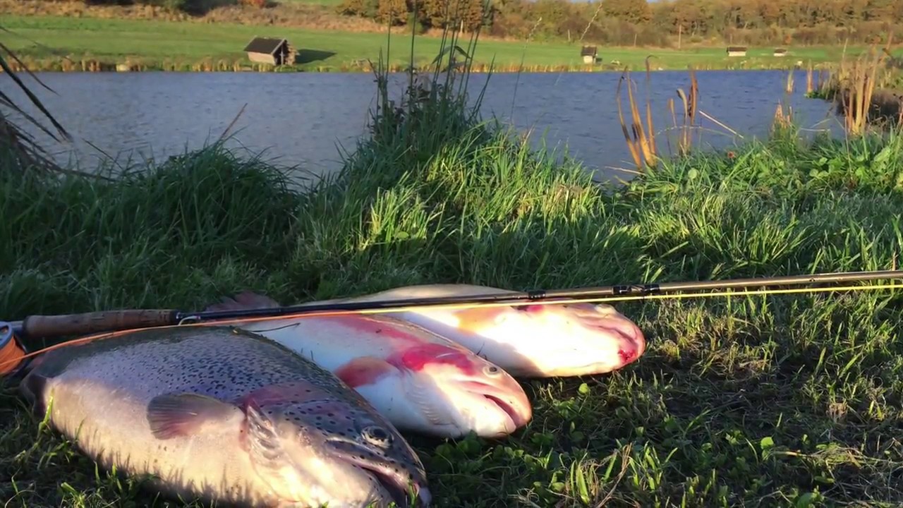 Nørreris Put & Take 28.10.16