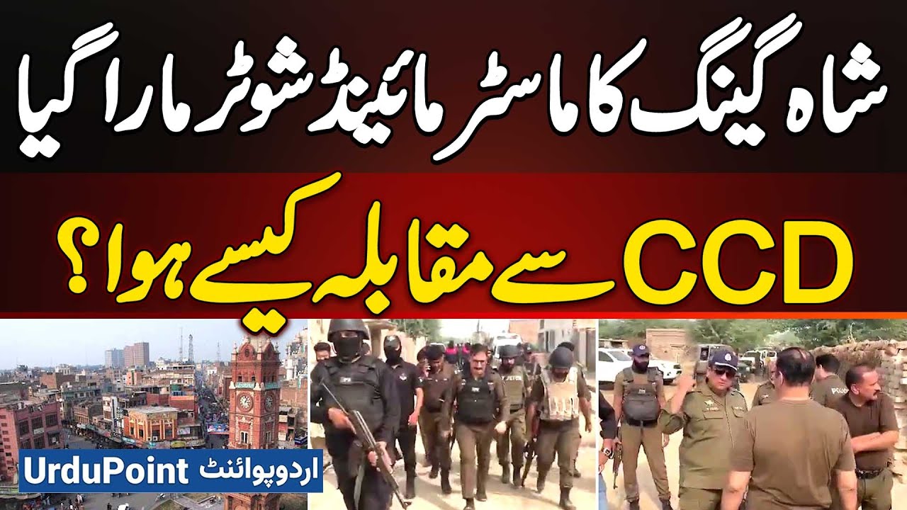 Shah Gang Mastermind Shooter Killed In CCD Encounter | How The Police Shootout Happened