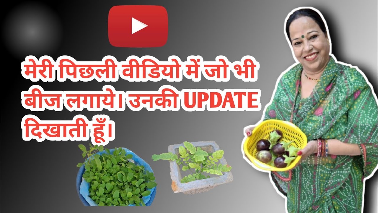 जो भी मैने बीज लगाये।उनकी आपको update दिखाती हूं । #family #farming #youtube 