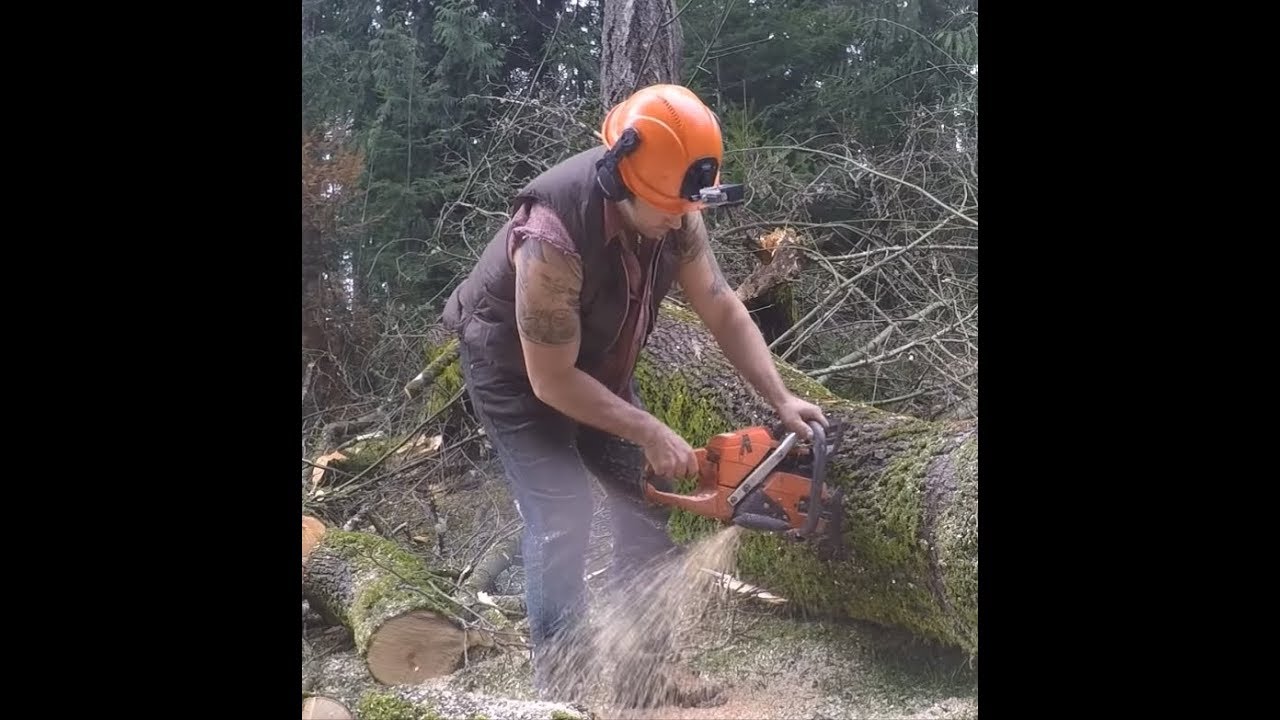 INSANE HUSQVARNA 372, BUCKING MAPLE