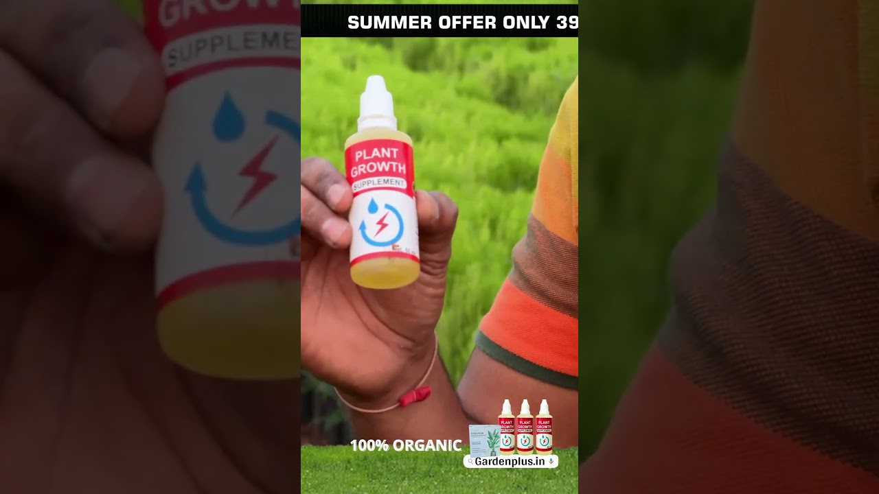 Summer Offer Turning a Garden Epic for ₹399 - Free Tools & Growth Hacks! #gardenmakeover