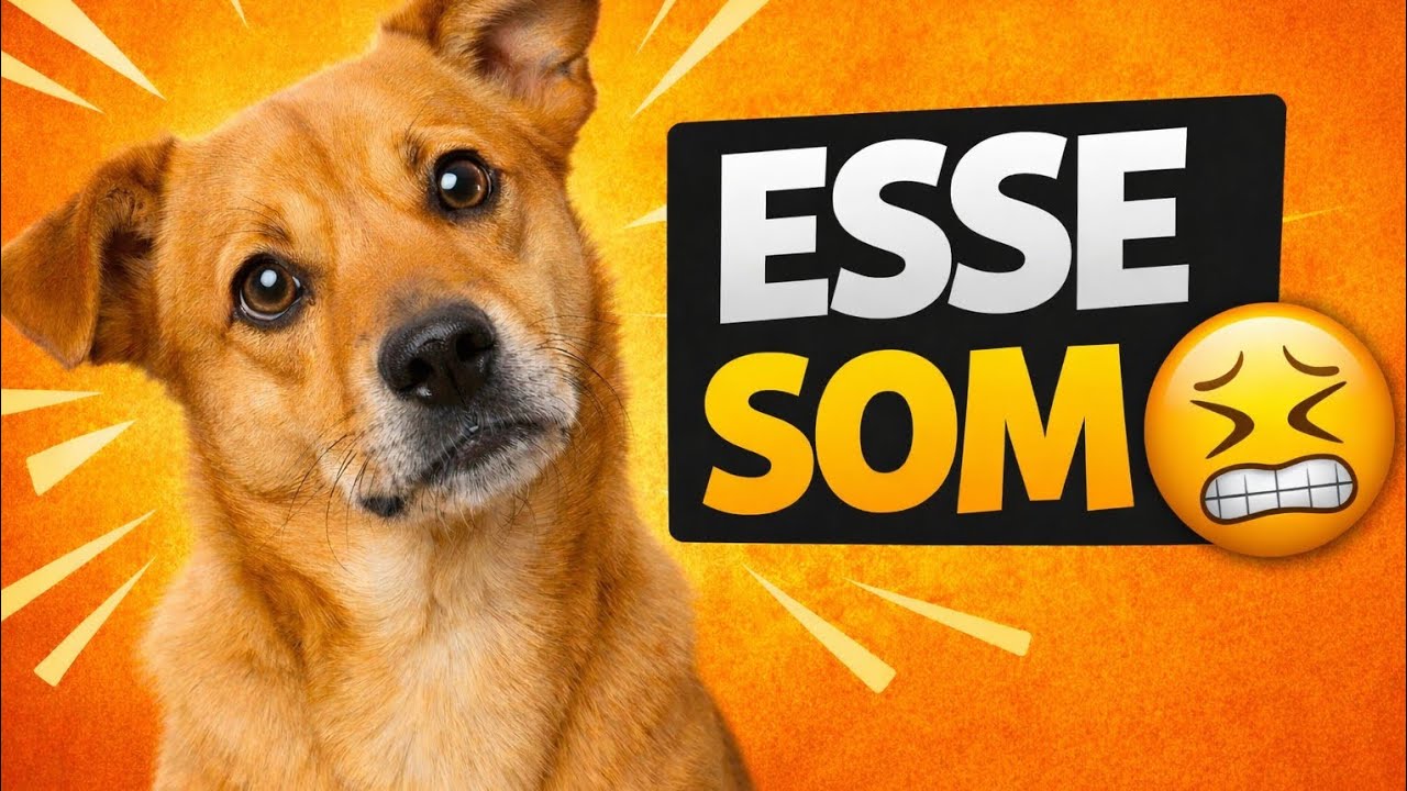 7 sons que seu cachorro ODEIA… e você usa todos os dias 😱🐶