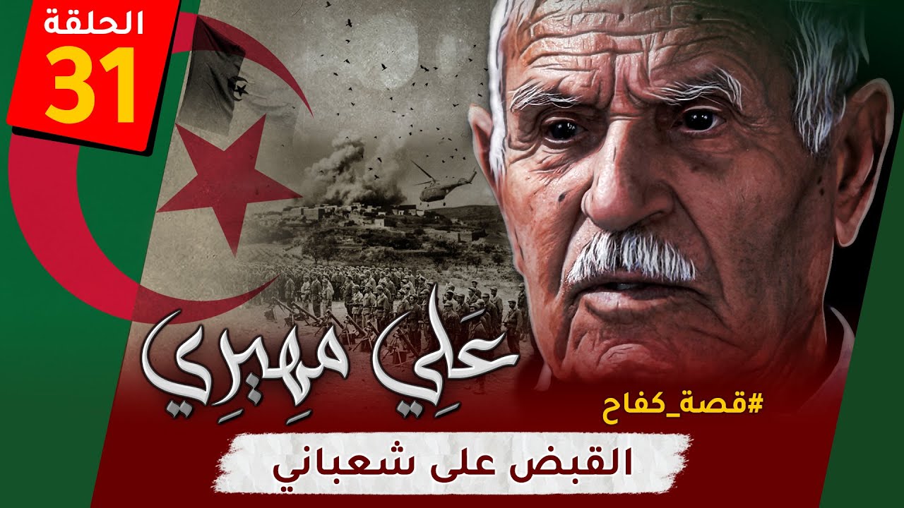 الحلقة الـ31 من 