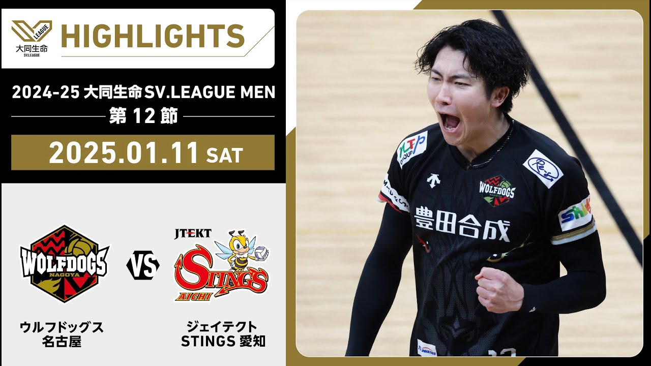 【2025/01/11 ハイライト】2024-25 大同生命SV.LEAGUE MEN 第12節 GAME1 WD名古屋 vs STINGS愛知