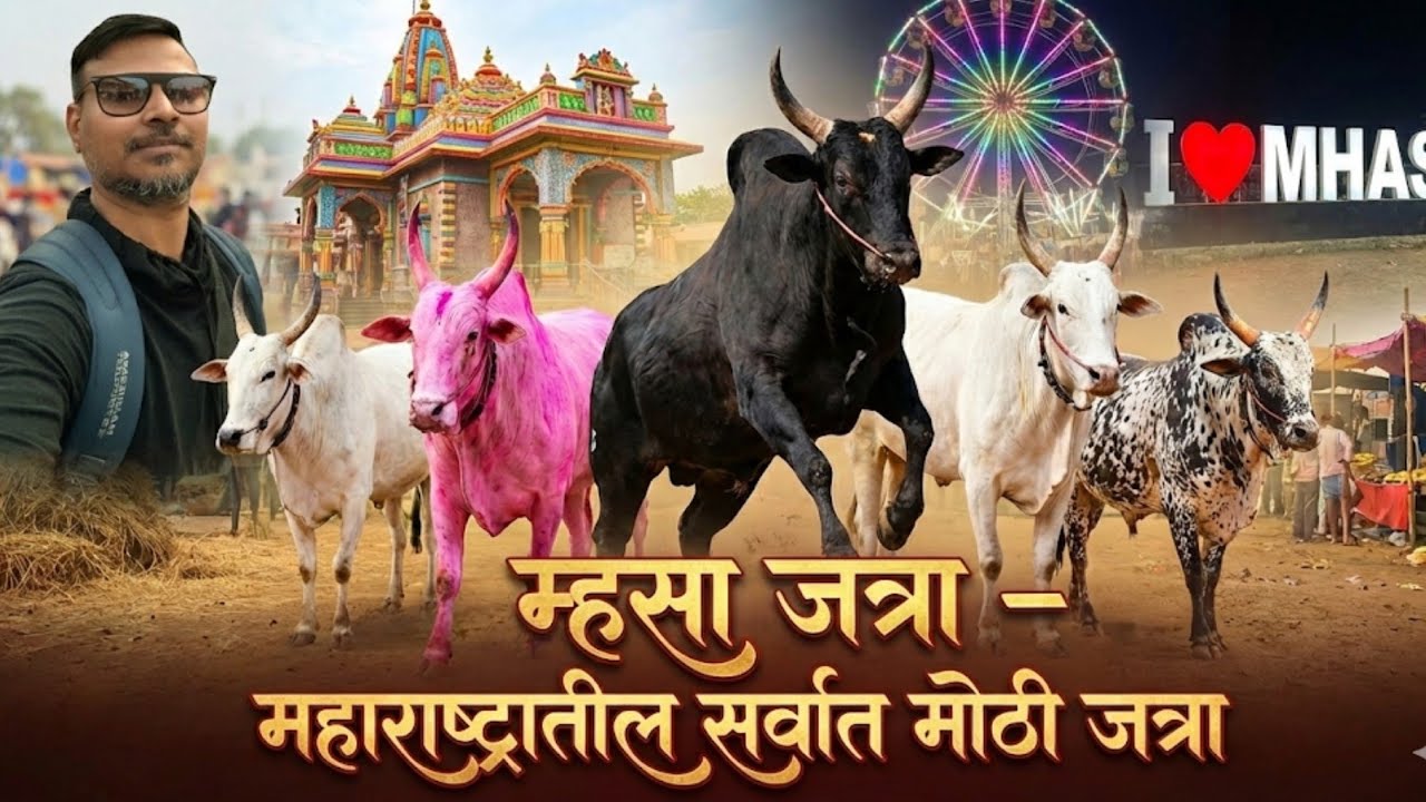 म्हसा जत्रा ठाणे मुरबाड | महाराष्ट्रातील सर्वात मोठा बैल बाजार | Mhasa Jatra 2026 in Thane Murbad