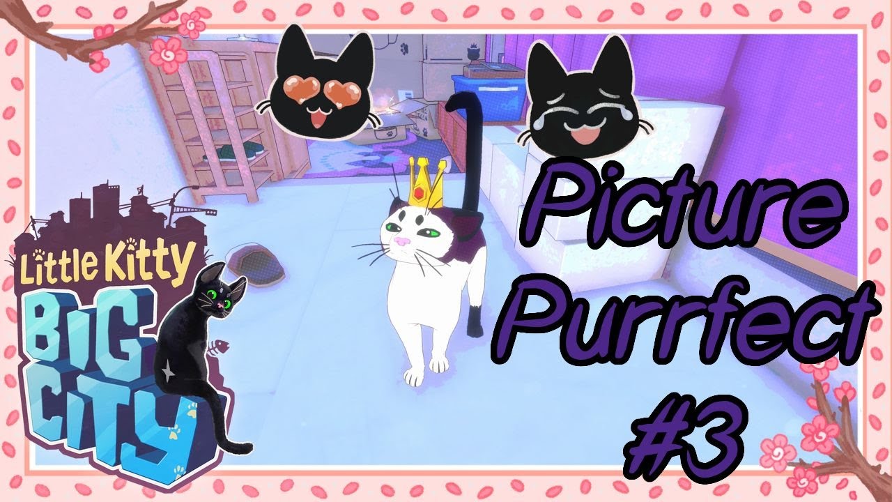 Little Kitty Big City Picture Purrfect ep 3