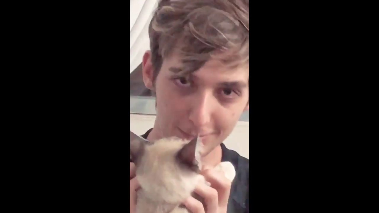 Calango e Guaxinim com Ziggy e Adão #1
