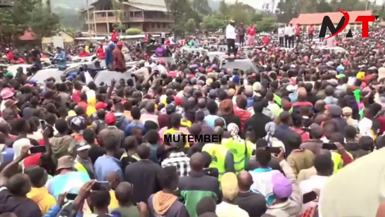 SIMBA ARATI KISII SI YA MAMA YAKO