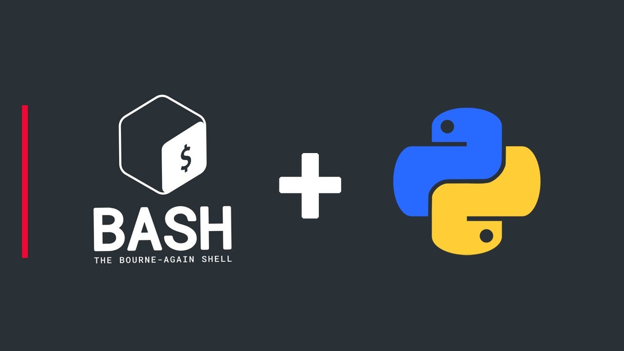 Создайте исполняемый файл Bash для запуска скриптов Python (или любой другой программы) в целях а...
