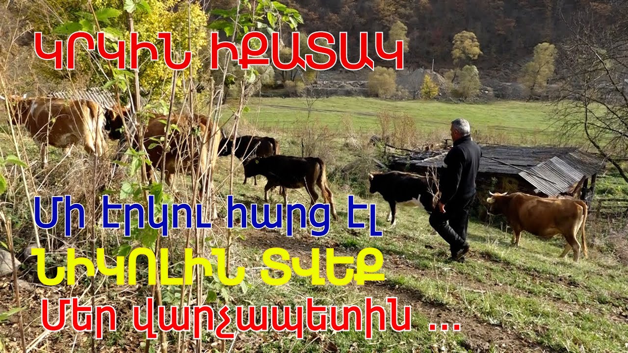 Մեր գործերով․․․ Խոմ նոր ջահել չենք նստենք աղջկերանց մտիկ տանք