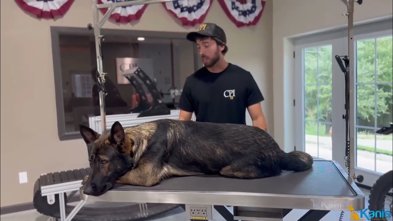 Most Innovative Stainless Steel Grooming TABLE FOR DOGS GROOMING