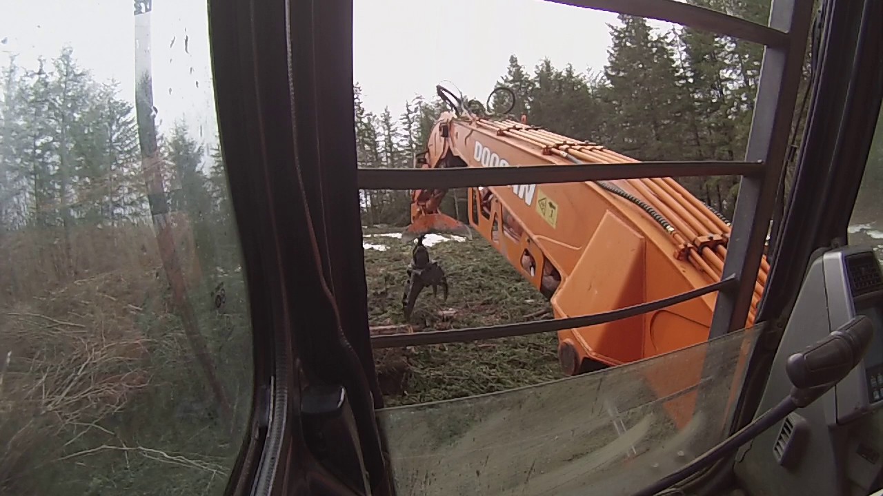 shovel logging some noble fir