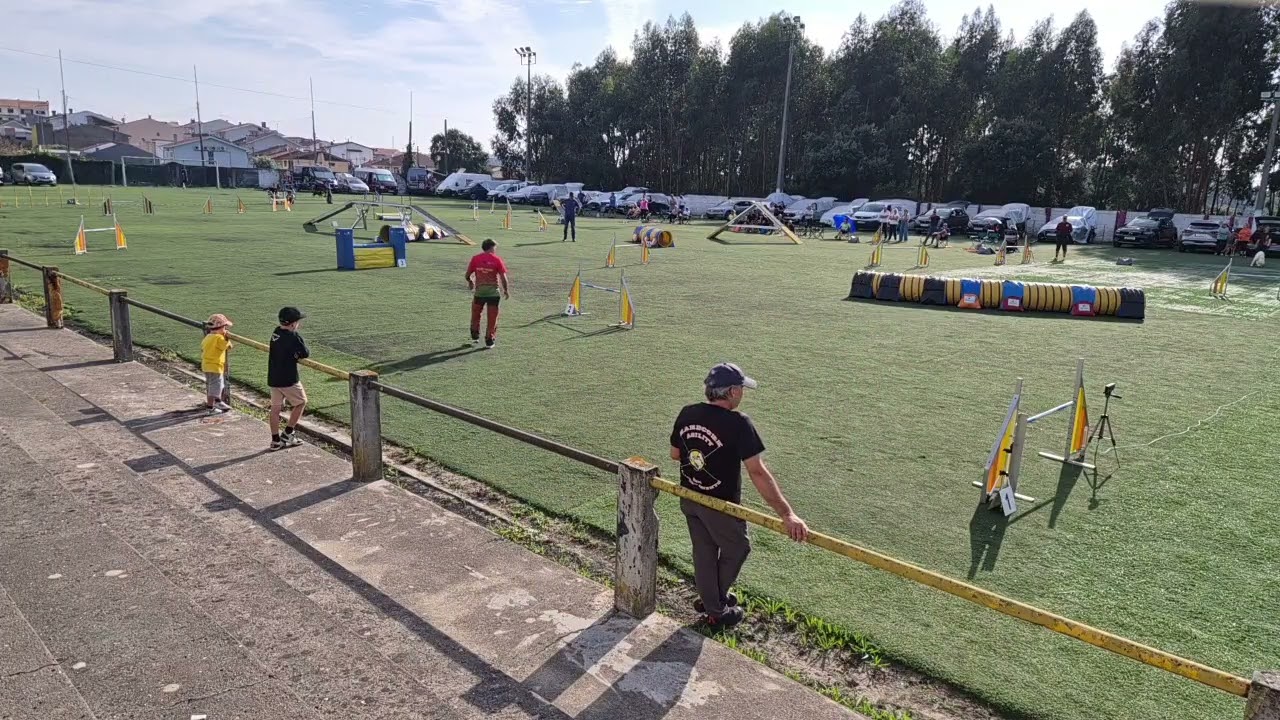 18 Outubro 2025 - Agility - Grau 3 - AG