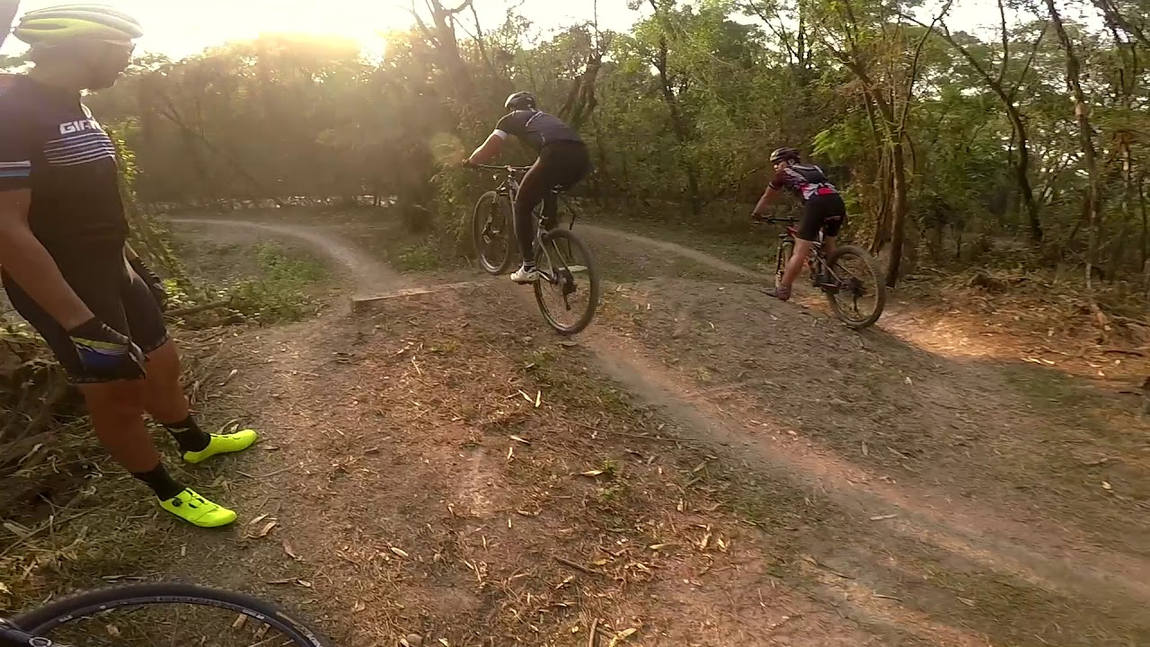 Rab11 Sections Training Day