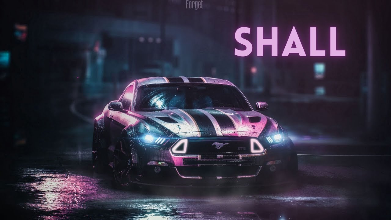 DJ Yal&ccedil;ın Erdilek -  Shall
