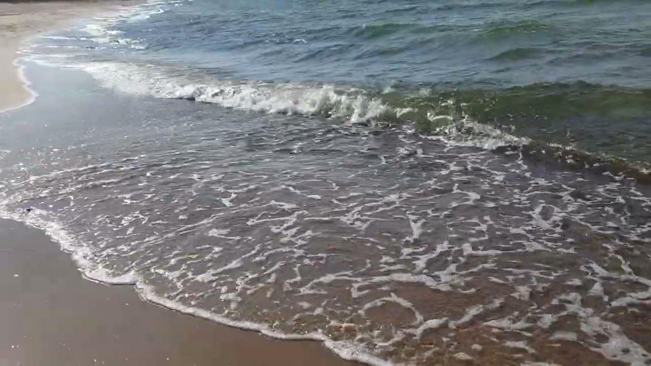 Jūra ošia 🏖