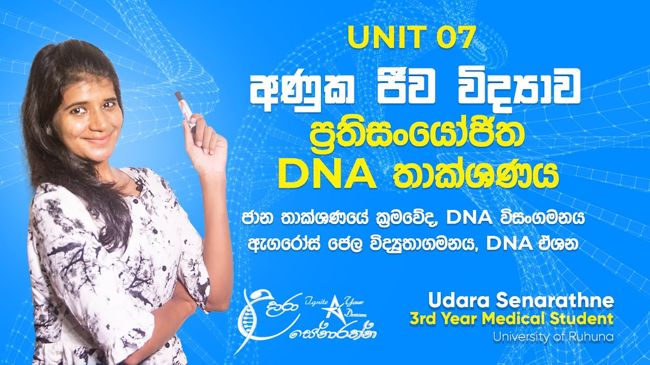 අණුක ජීව විද්‍යාව හා ප්‍රතිසංයෝජිත DNA තාක්ෂණය: DNA විසංගමණය, ඇගරෝස් ජෙල විද්‍යුතාගමනය හා DNA ඒෂණ