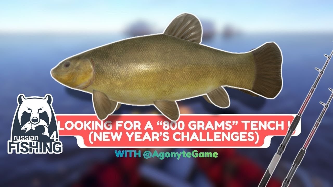 NEW YEAR'S CHALLENGES - I GOT 1KG TENCH WITH TELESCOPIC ROD AT WINDING RIVULET! [RUSSIAN FISHING 4]