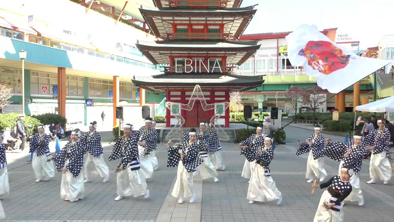 [4K] ちゃきる （ 第一回 神奈川よさこいまつり 2025 day1 /海老名エリア 七重の塔前）