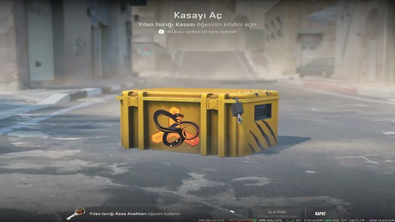 CS2 KASA AÇILIMI 31 KASADA NE ÇIKARDIM