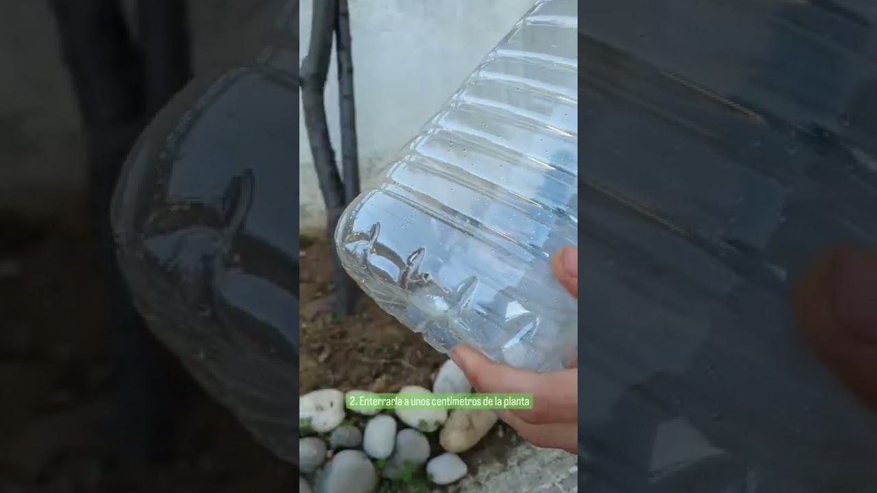 C&oacute;mo hacer un AUTORRIEGO por CAPILARIDAD con una GARRAFA