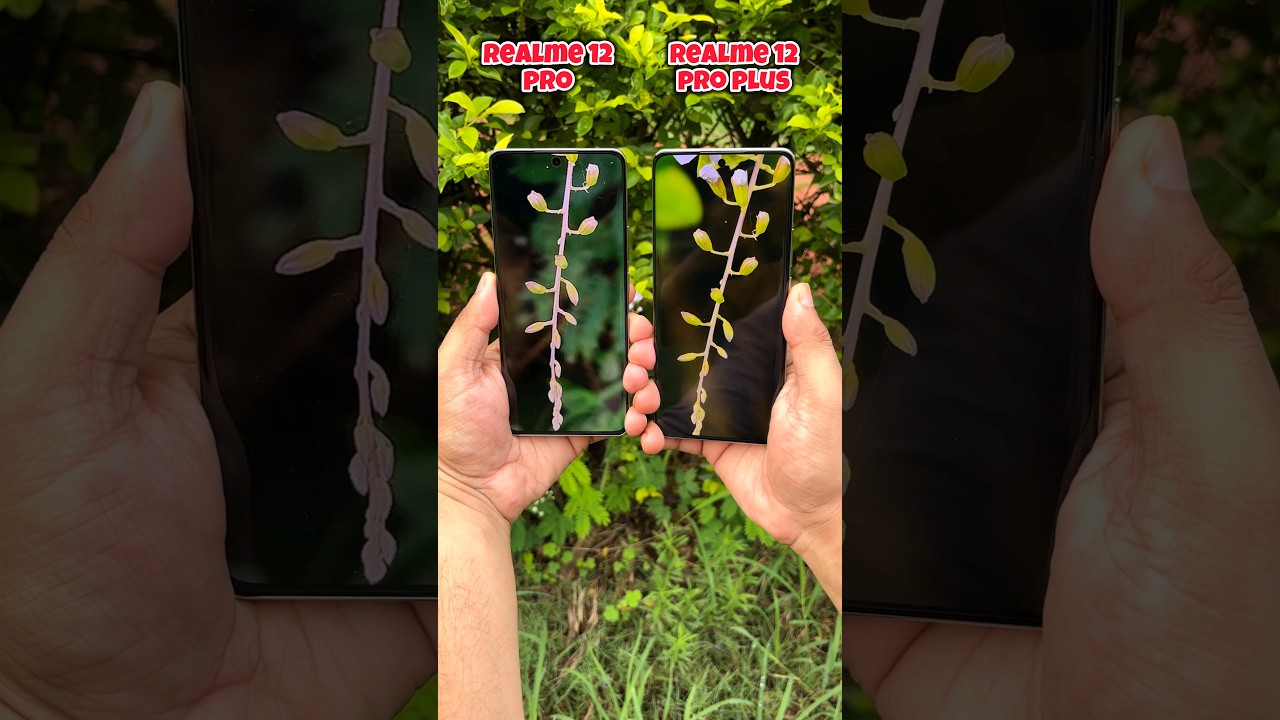 Realme 12 Pro vs Realme 12 Pro Plus Camera Comparison #realme #shorts