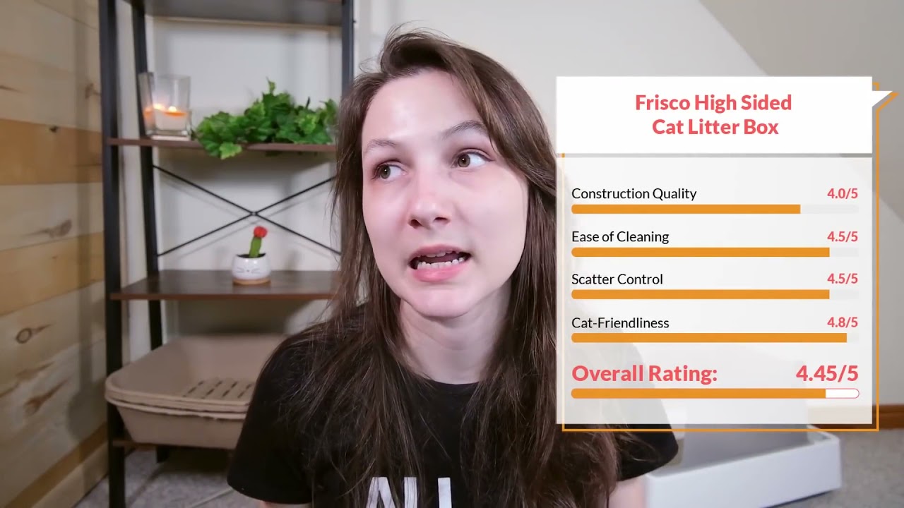 Frisco High Sided Litter Box Review (We Tried It)