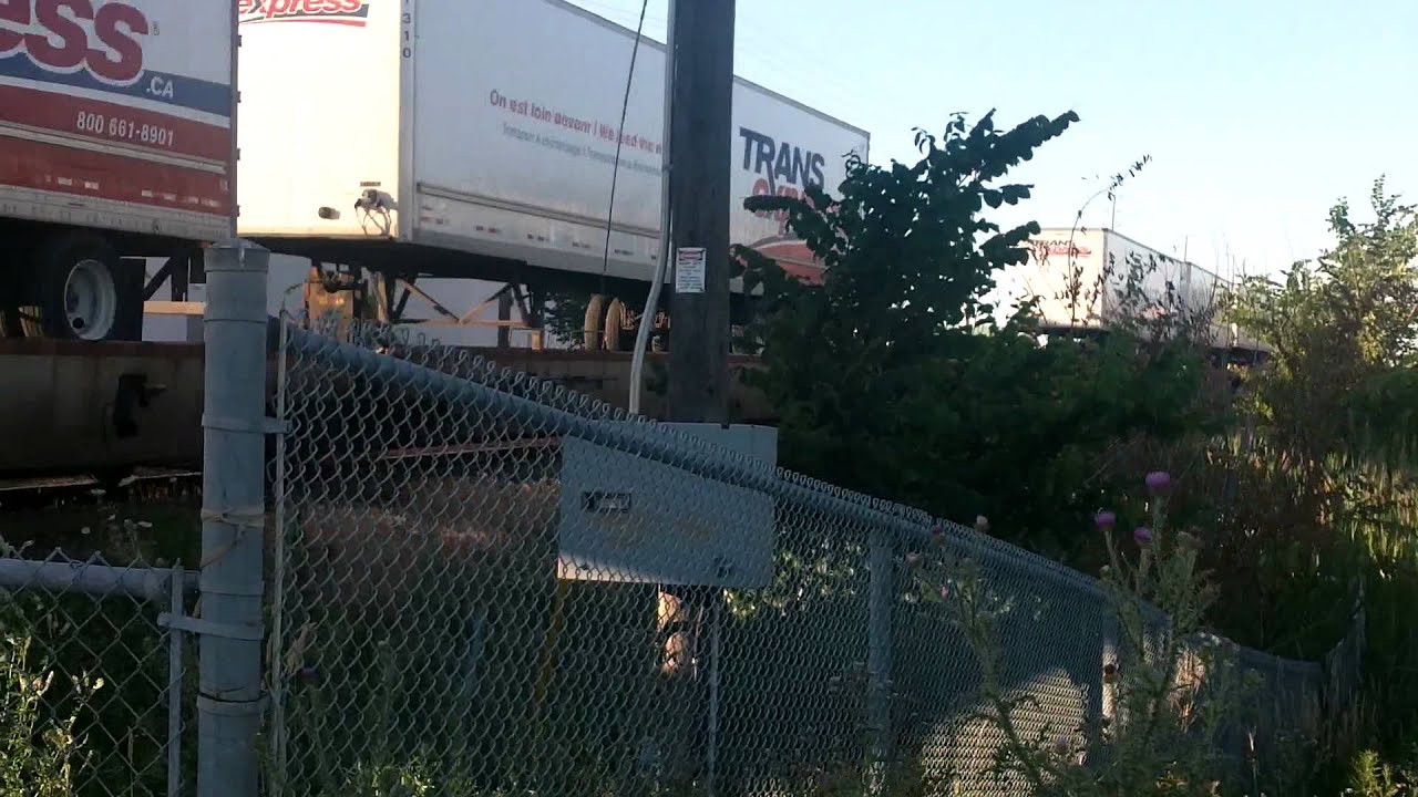 Meet ! CP 132 & GO 648 at Lisgar ( HD ) and Full thottle