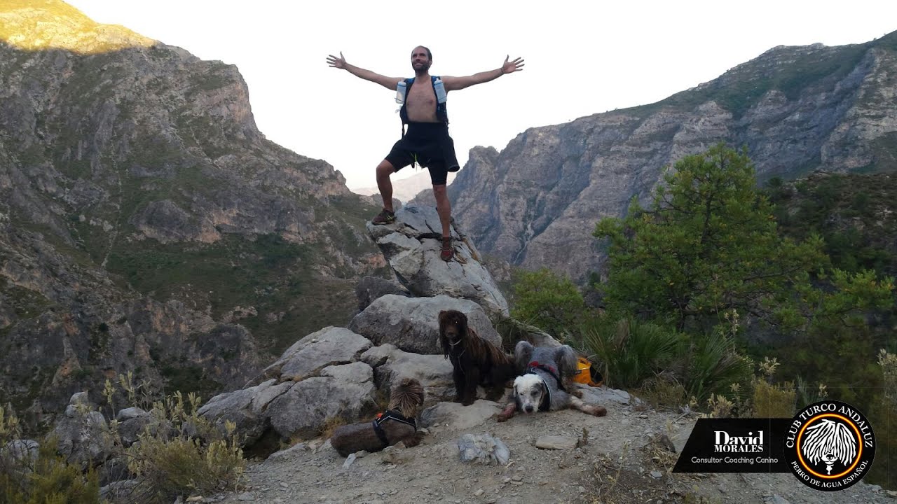 Descenso Acuático Perros Pdae Rio Verde Turco Andaluz David Morales Consultor Coaching Canino